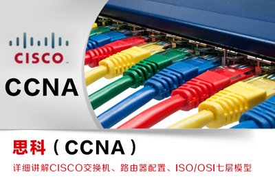 網(wǎng)絡工程 構(gòu)建數(shù)字化時代的基石